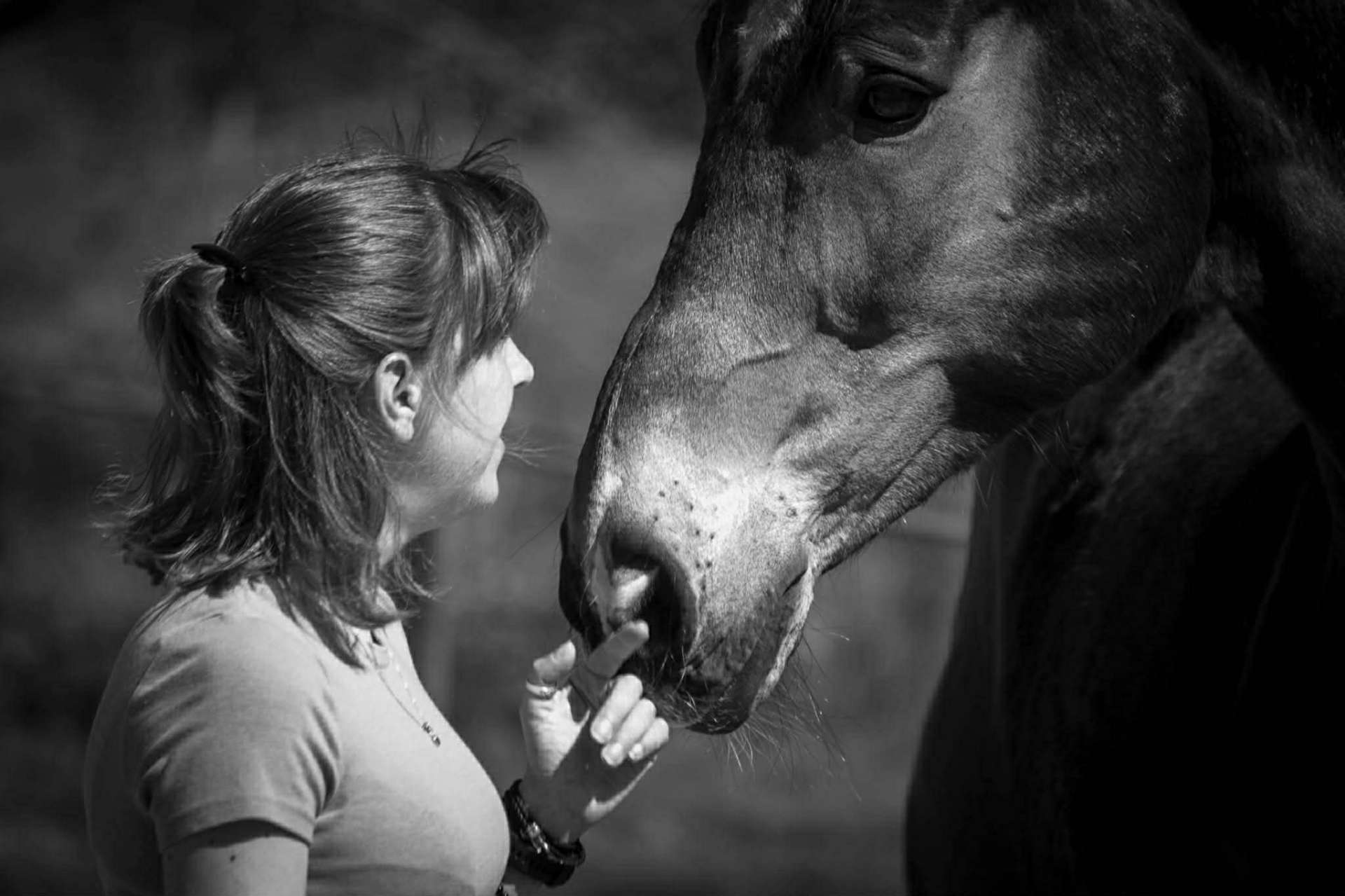Présence et alignement avec le cheval